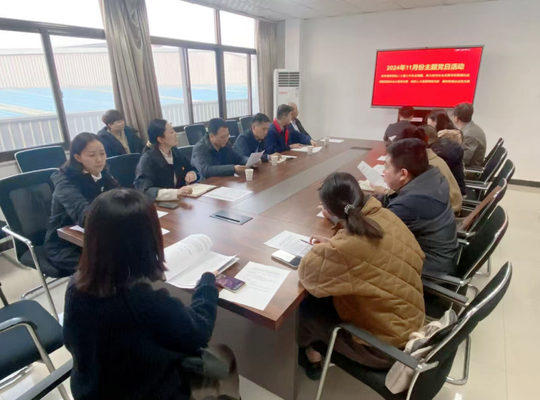 深入學(xué)習(xí)黨的二十屆三中全會(huì)精神，開(kāi)展主題黨日活動(dòng)